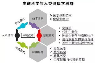 在這里，你也許能夠找到長壽的秘訣 技術咨詢的隱藏力量
