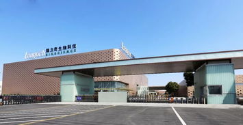 鐫定時代坐標，隆力奇譜寫發展新華章